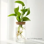 Jardineira com planta verde em vaso de vidro transparente.