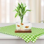 Planta verde num vaso de vidro com peixes vermelhos a nadar, decoração de estilo científico ou natural, sobre uma toalha de mesa aos quadrados verdes e brancos.