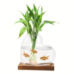 Vaso de vidro transparente contendo uma planta verde e três peixes dourados nadando na água, colocado sobre uma base de madeira.