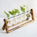 Composição de plantas verdes e brancas em frascos de laboratório suspensos em um suporte de madeira, decoração científica e natural.