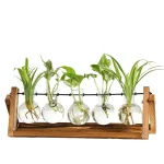 Vaso de plantas em laboratório com suporte de madeira e tubos de ensaio contendo plantas verdes, ilustrando a decoração científica e natural.