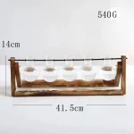 Vasos de Propagação Evolução Hidro - Image 6